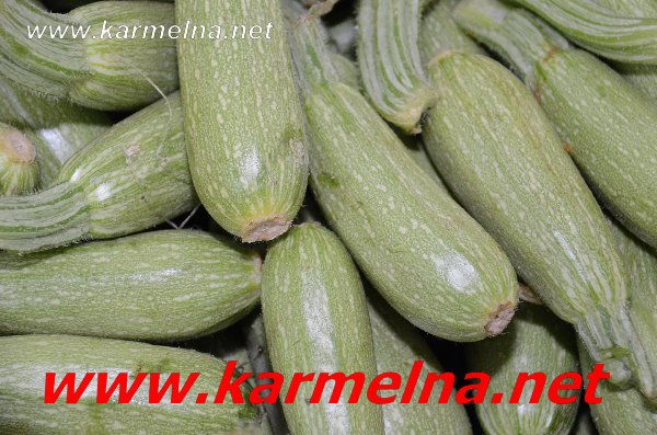 خضار وفواكة ربيع ابو الزلف